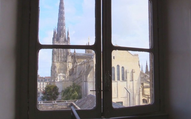 Bordeaux, an ecologist mayor's first steps
